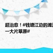 超治愈！#钱塘江边的滩涂竟有一大片草原#