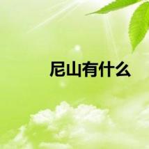 尼山有什么