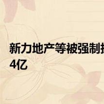 新力地产等被强制执行7.4亿
