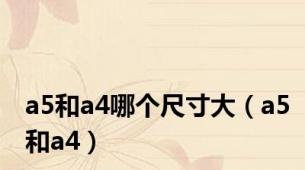 a5和a4哪个尺寸大（a5和a4）