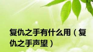 复仇之手有什么用（复仇之手声望）