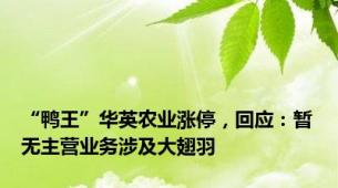 “鸭王”华英农业涨停，回应：暂无主营业务涉及大翅羽