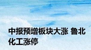 中报预增板块大涨 鲁北化工涨停