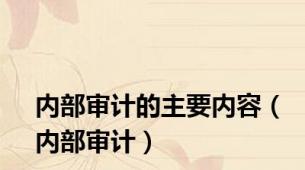内部审计的主要内容（内部审计）