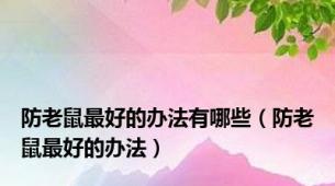防老鼠最好的办法有哪些（防老鼠最好的办法）