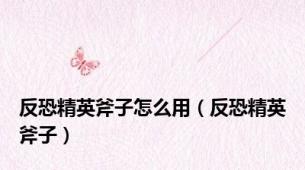 反恐精英斧子怎么用（反恐精英斧子）