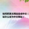 如何把英文网站变成中文（英文网站怎么变为中文网站）
