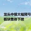 龙头中报大幅预亏 光伏板块集体下挫
