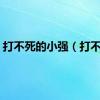打不死的小强（打不死）