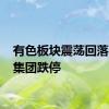 有色板块震荡回落 株冶集团跌停