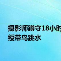 摄影师蹲守18小时拍到绶带鸟跳水