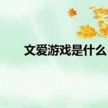 文爱游戏是什么