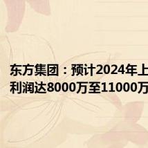 东方集团：预计2024年上半年净利润达8000万至11000万元