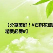 【分享美好!#石斛花绽放宛如精灵起舞#】