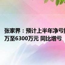 张家界：预计上半年净亏损5800万至6300万元 同比增亏