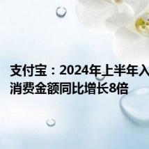支付宝：2024年上半年入境宾客消费金额同比增长8倍