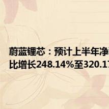 蔚蓝锂芯：预计上半年净利润同比增长248.14%至320.17%