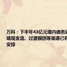 万科:下半年43亿元境内债务通过经营端现金流、过渡银团等渠道已有相应偿还安排