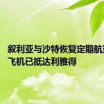 叙利亚与沙特恢复定期航班 首架飞机已抵达利雅得