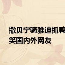 撒贝宁骑雅迪抓鸭子逗笑国内外网友