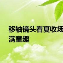 移轴镜头看夏收场景充满童趣