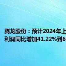腾龙股份：预计2024年上半年净利润同比增加41.22%到60.66%