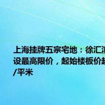上海挂牌五宗宅地:徐汇滨江地块设最高限价,起始楼板价超10万元/平米