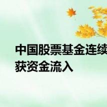 中国股票基金连续五周获资金流入