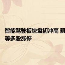 智能驾驶板块盘初冲高 凯中精密等多股涨停
