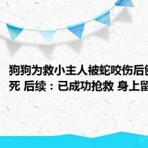 狗狗为救小主人被蛇咬伤后刨坑等死 后续:已成功抢救 身上留有伤痕