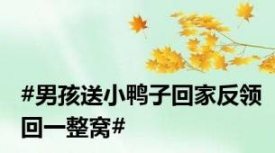 #男孩送小鸭子回家反领回一整窝#