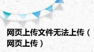 网页上传文件无法上传（网页上传）