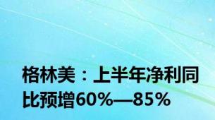 格林美：上半年净利同比预增60%—85%