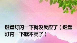 键盘灯闪一下就没反应了（键盘灯闪一下就不亮了）