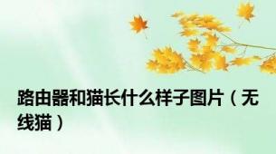 路由器和猫长什么样子图片（无线猫）