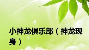 小神龙俱乐部（神龙现身）