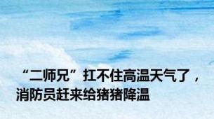 “二师兄”扛不住高温天气了，消防员赶来给猪猪降温