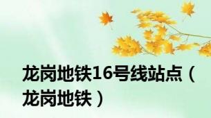 龙岗地铁16号线站点（龙岗地铁）