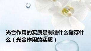 光合作用的实质是制造什么储存什么（光合作用的实质）