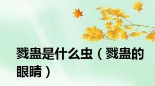 戮蛊是什么虫（戮蛊的眼睛）