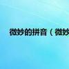 微妙的拼音（微妙）