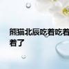 熊猫北辰吃着吃着就睡着了
