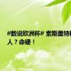 #数说欧洲杯# 索斯盖特精准换人？命硬！