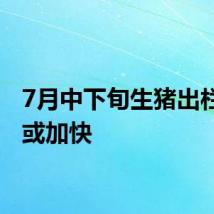7月中下旬生猪出栏节奏或加快