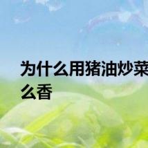 为什么用猪油炒菜会那么香