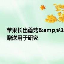 苹果长出蘑菇&#32;女子赠送用于研究