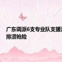 广东调派6支专业队支援洞庭湖排涝抢险