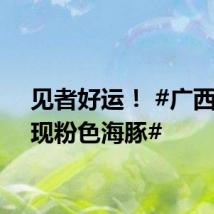 见者好运！ #广西钦州现粉色海豚#