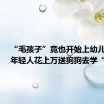 “毛孩子”竟也开始上幼儿园了!年轻人花上万送狗狗去学“装死”