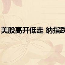 美股高开低走 纳指跌1%